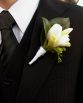 CLASSIC STYLE BUTTONHOLE