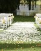 ROMANTIC 5 Meter Light Scatter of fresh rose petals.  Image by The White Orchid Floral Design.