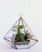 INDUSTRIAL Copper Terrariums filled with petite plants, succulents or flowers.  Image by The White Orchid Floral Design.