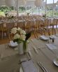The White Orchid Floral Design